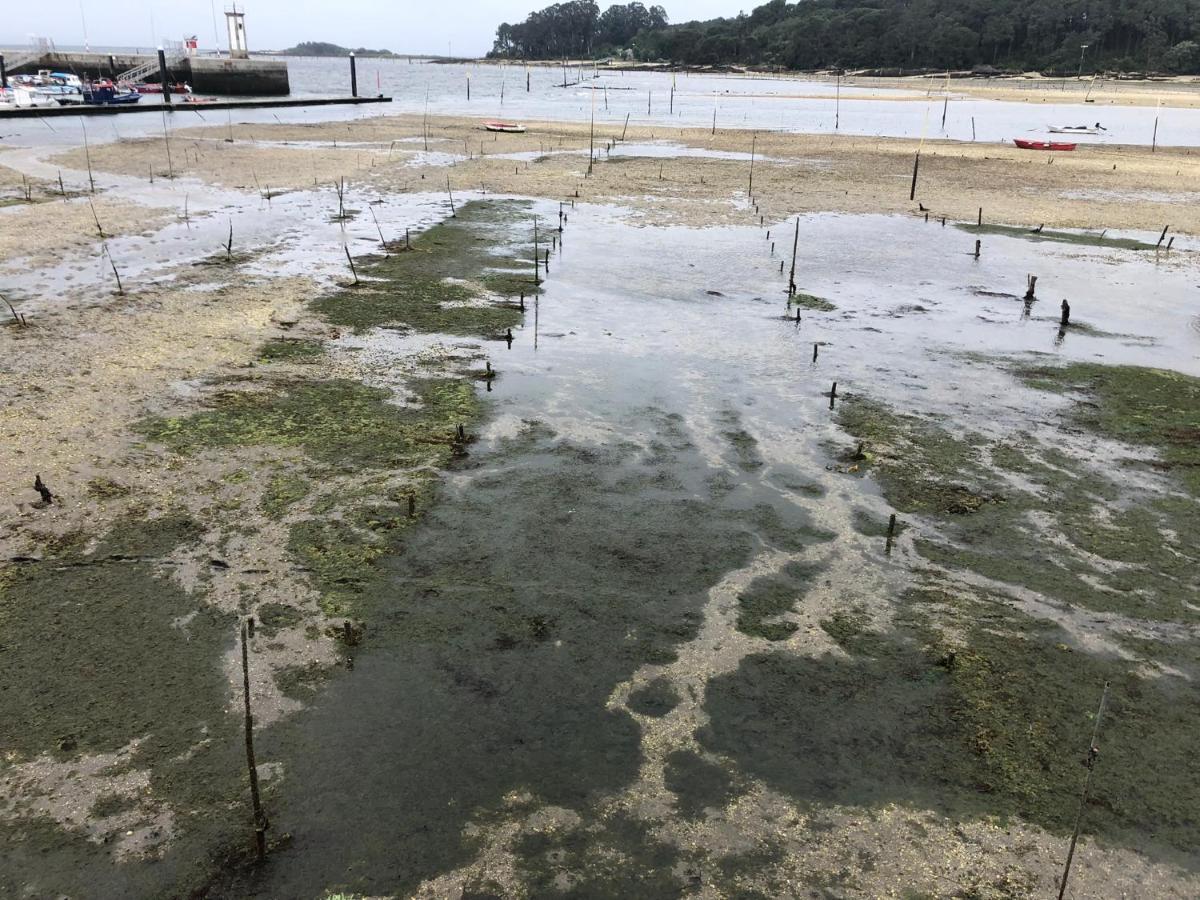 Alojamientos Rias Baixas- Casa Castillejos- Carril Vilagarcia de Arousa Buitenkant foto